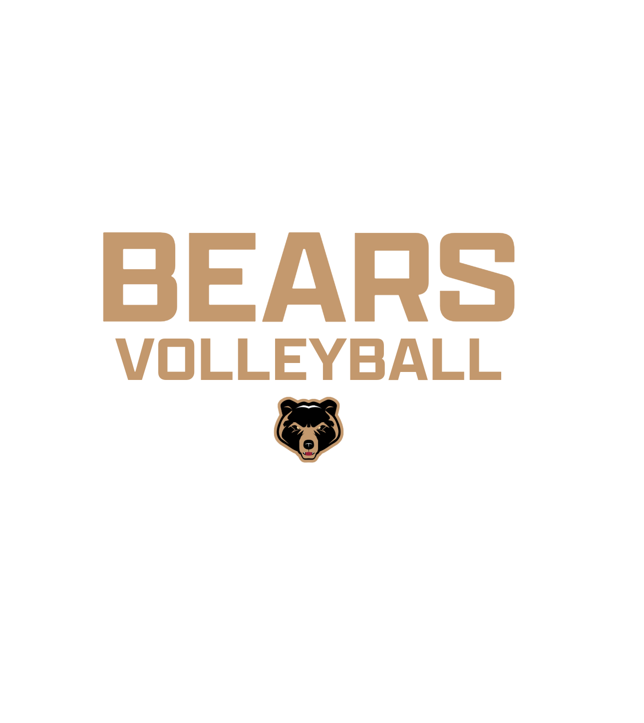 Clinton College Volleyball Order (3 of 3)