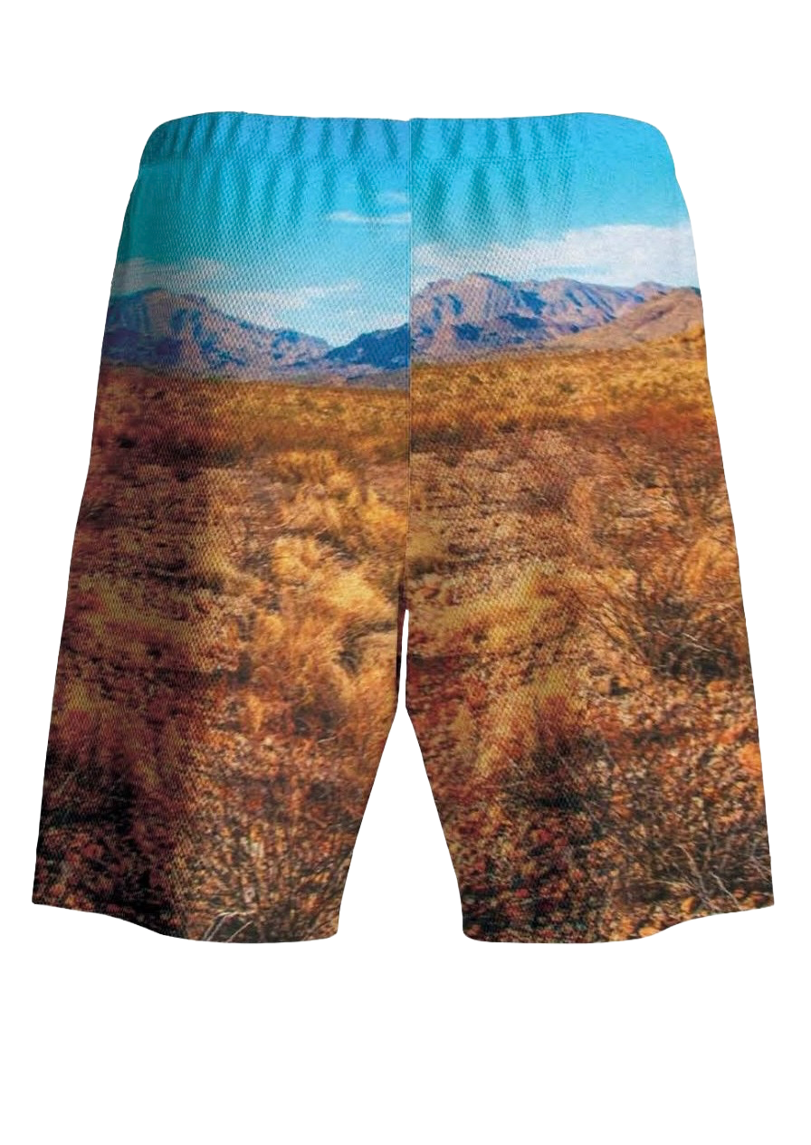 Utah United Shorts