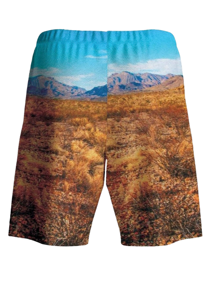 Utah United Shorts