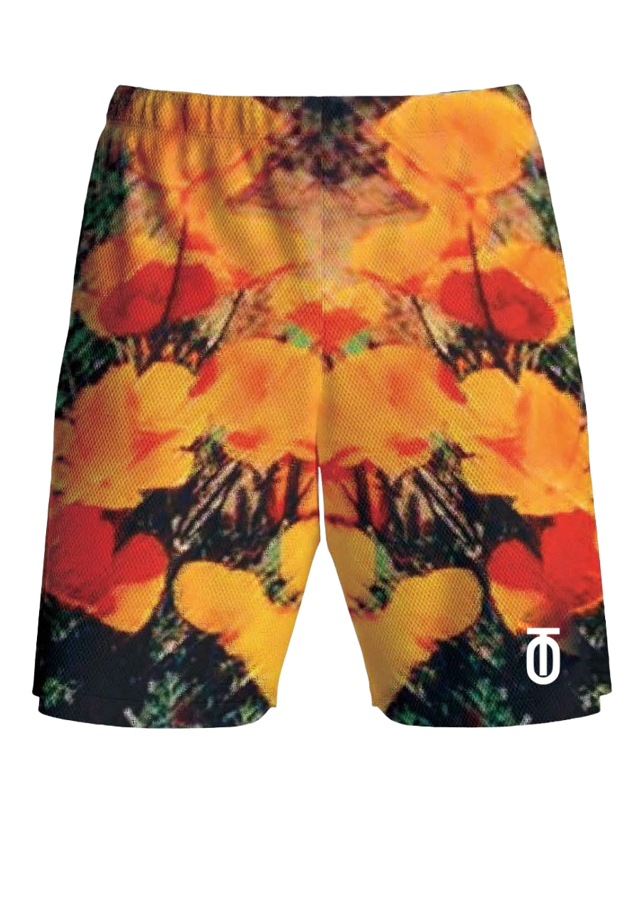 Sunlight United Shorts