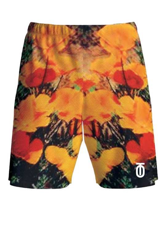 Sunlight United Shorts