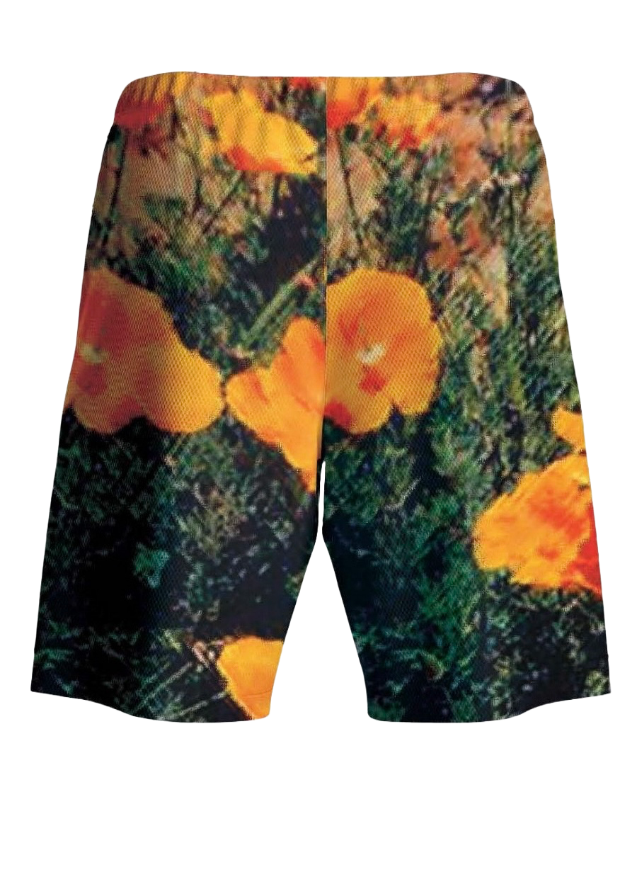 Sunlight United Shorts