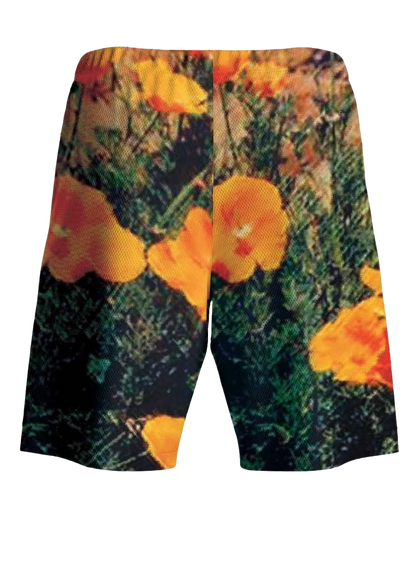 Sunlight United Shorts